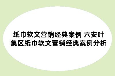 纸巾软文营销经典案例 六安叶集区纸巾软文营销经典案例分析